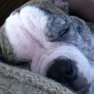 Meet your Posher, Gonzalo